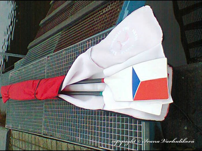 11_ochranne_potahy_varhulikova.jpg
